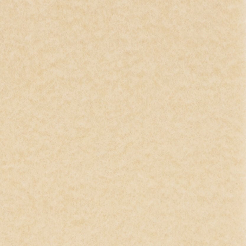 Lanvin ÉCHARPE À FRANGES EN LAINE AVEC ÉTIQUETTE 22 FAUBOURG Creme AMSARSC31VETP26