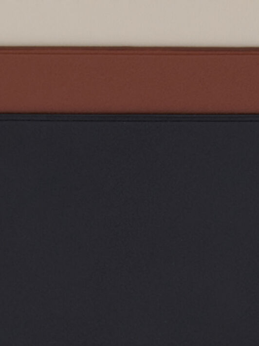 Lanvin TRICOLOR LEATHER CARD HOLDER Black/Multicolour LWSLSLCHSMLEP26