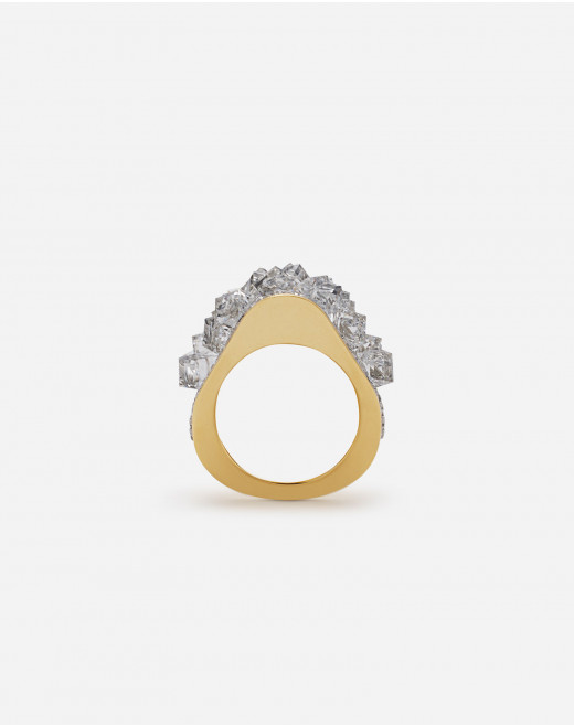 BAGUE FREQUENCE