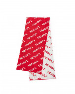 LANVIN SCARF IN CASHMERE